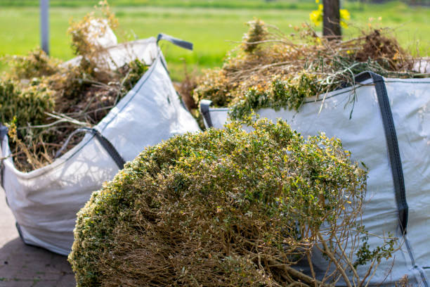 Best Estate Cleanout Services  in Chualar, CA